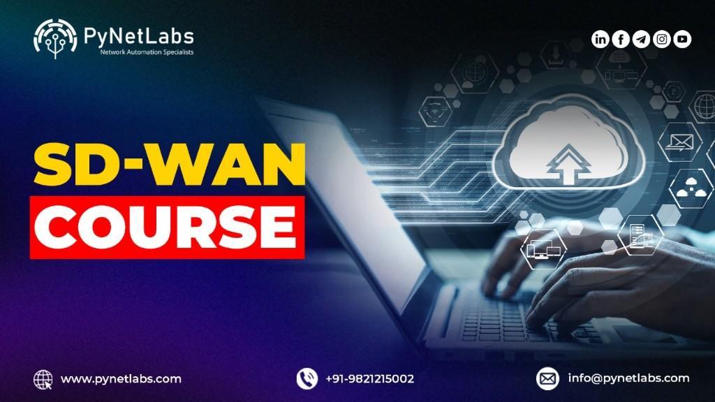 SD-WAN Training Essentials for Network Professionals in Bādshāhpur - Image 1