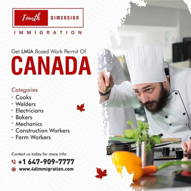 Trusted Canadian Immigration Experts – Study, Work, Settle in Brampton - Image 6