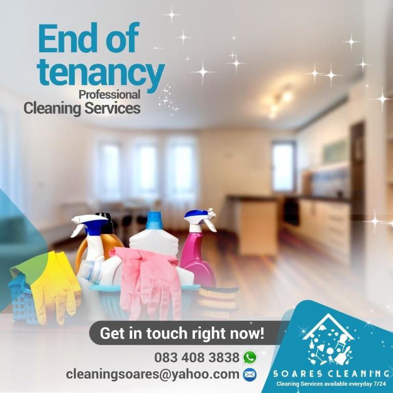Cleaner Available in Bray - Image 2