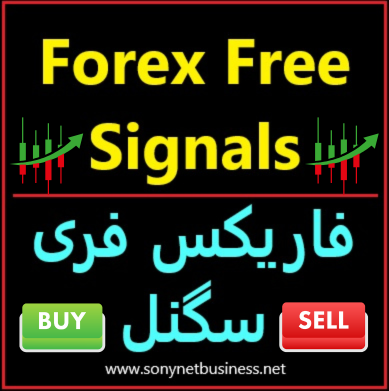 Earn Profits with AI-Powered Algo Trading, Fully Automated! in Pakistan - Image 1