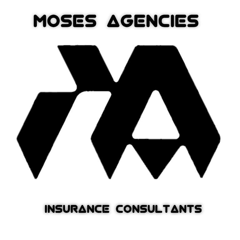 Insurance Consultancy Vehicle | Health | Life in Palayam - Image 2