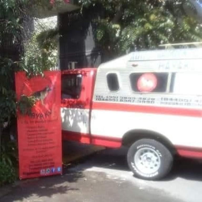 ADIESTRAMIENTO CANINO PROFESIONAL HAYAKU en Ciudad de México (CDMX) - Imagen 1