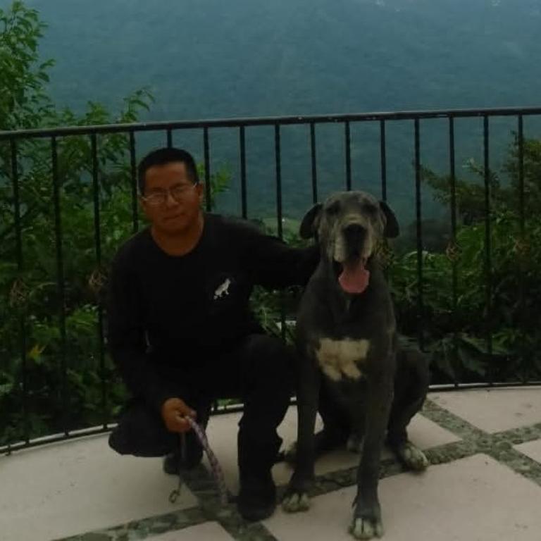 ADIESTRAMIENTO CANINO PROFESIONAL HAYAKU en Ciudad de México (CDMX) - Imagen 2