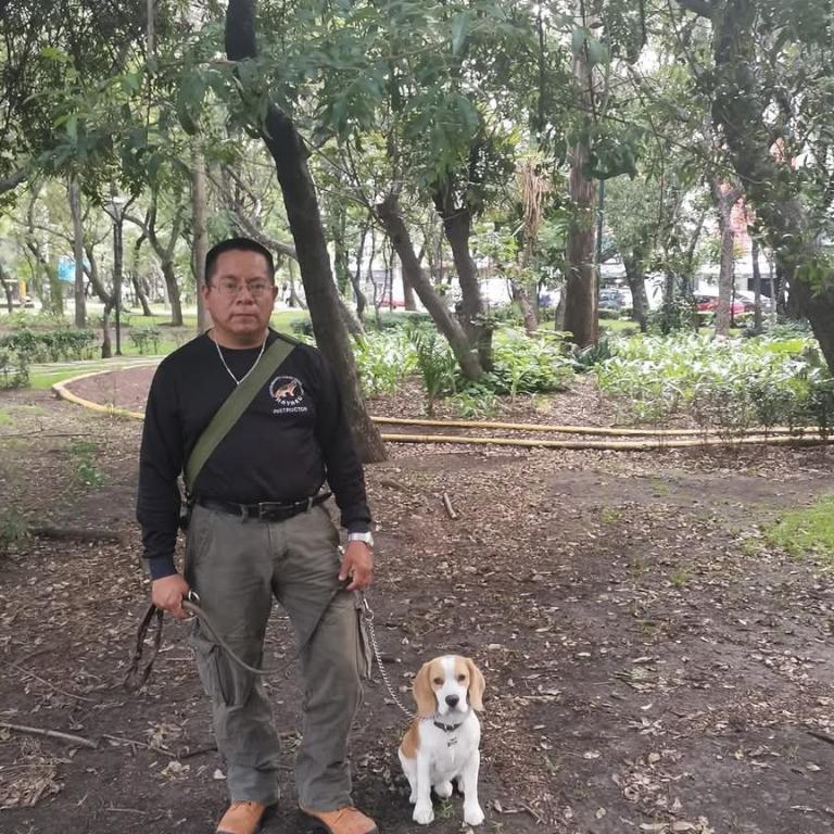 ADIESTRAMIENTO CANINO en Iztapalapa - Imagen 2