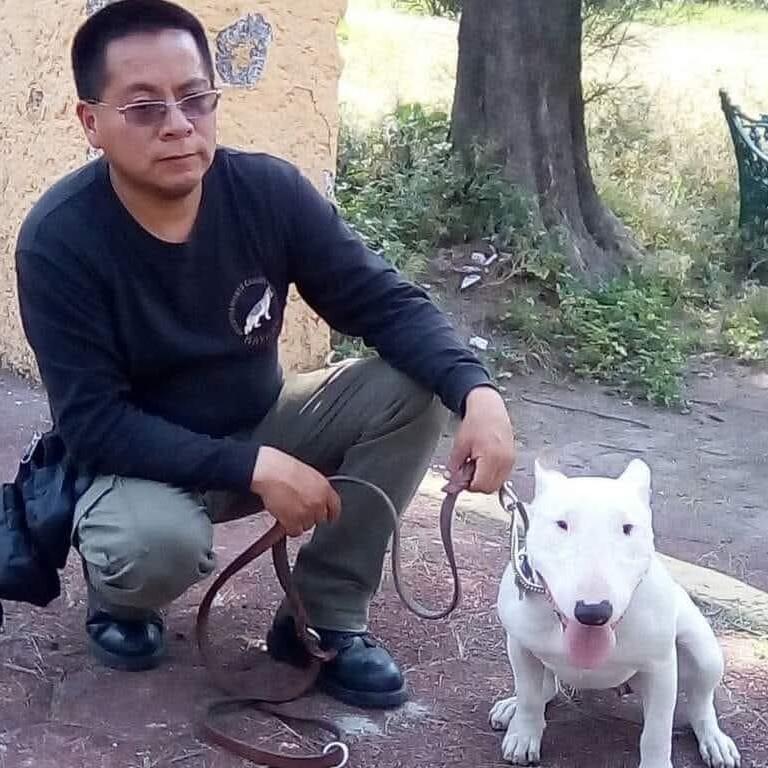 ADIESTRAMIENTO CANINO en Iztapalapa - Imagen 10