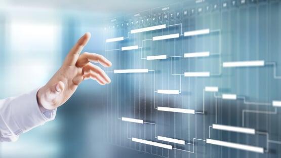 Variant Management Solution VMS in India - Image 1