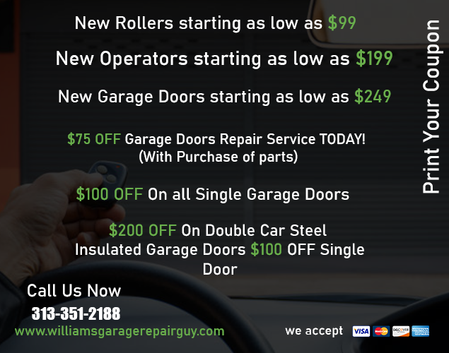 Williams Garage Repair Guy in Ann Arbor - Image 1