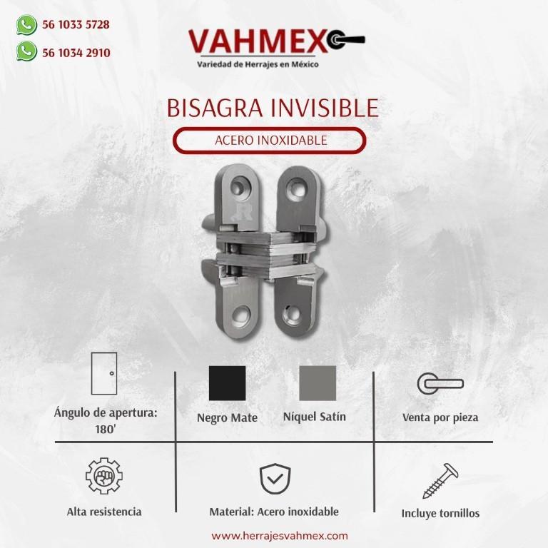 Bisagra Invisible en Aguascalientes en Aguascalientes (AGS) - Imagen 1