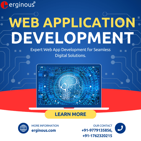 Web Application Development Company in Rajpura | Erginous Tech in Ambāla - Image 1