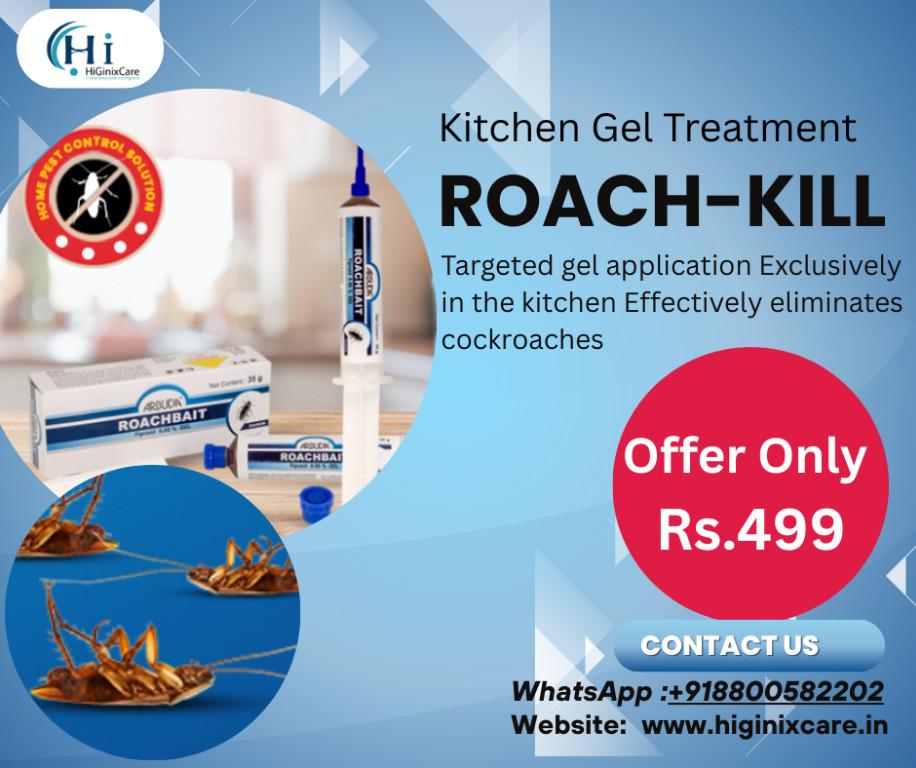 Cockroaches Pest Control Service in Delhi in Gurgaon - Image 2