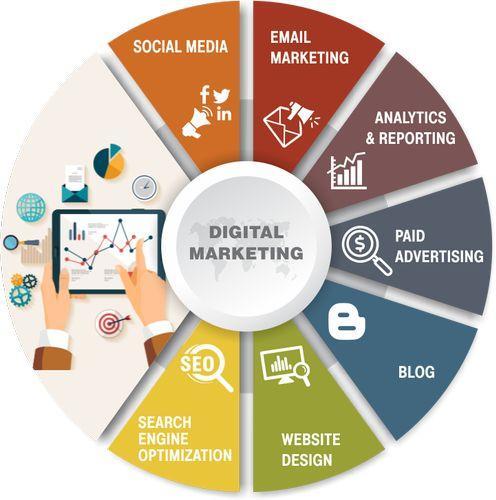 Professional Custom Website Development Mumbai in Ghansoli - Image 5