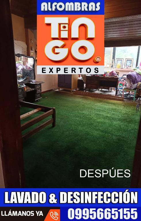 ALFOMBRAS LIMPIAS - SERVICIO 100 PROFESIONAL -QUITO-ECUADOR en Quito - Imagen 9