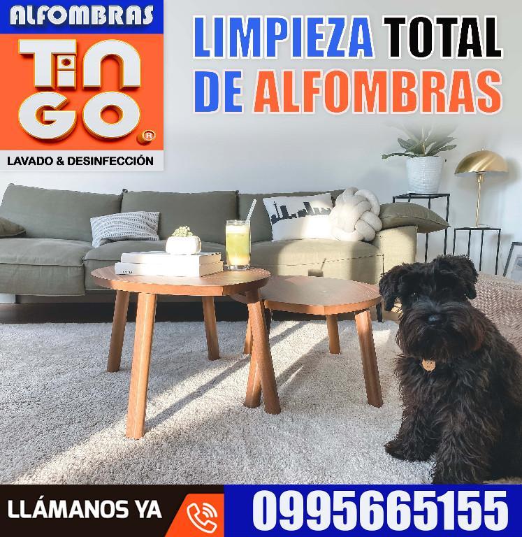 ALFOMBRAS LIMPIAS - SERVICIO 100 PROFESIONAL -QUITO-ECUADOR en Quito - Imagen 6