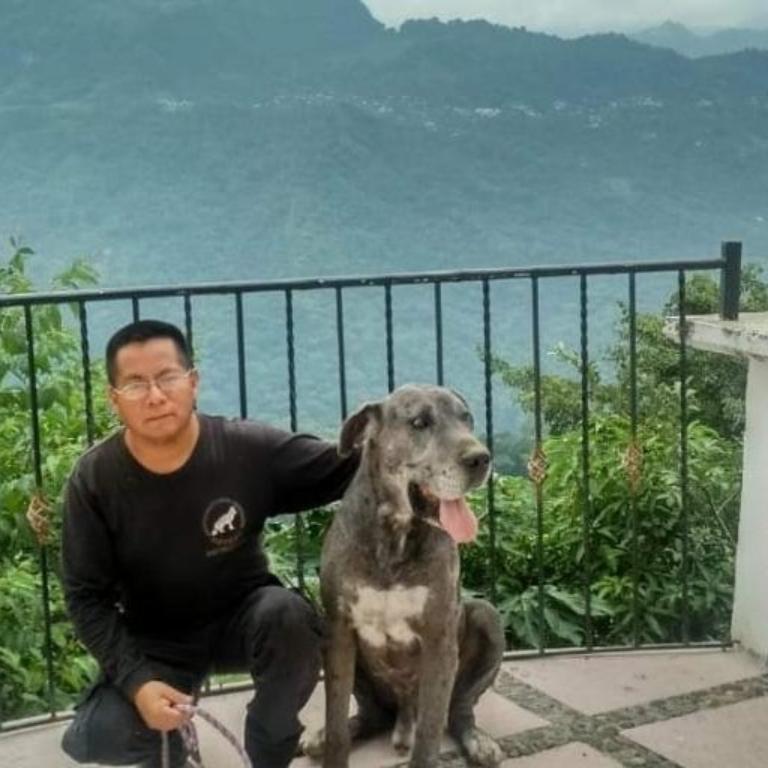 ADIESTRAMIENTO CANINO en Azcapotzalco - Imagen 1
