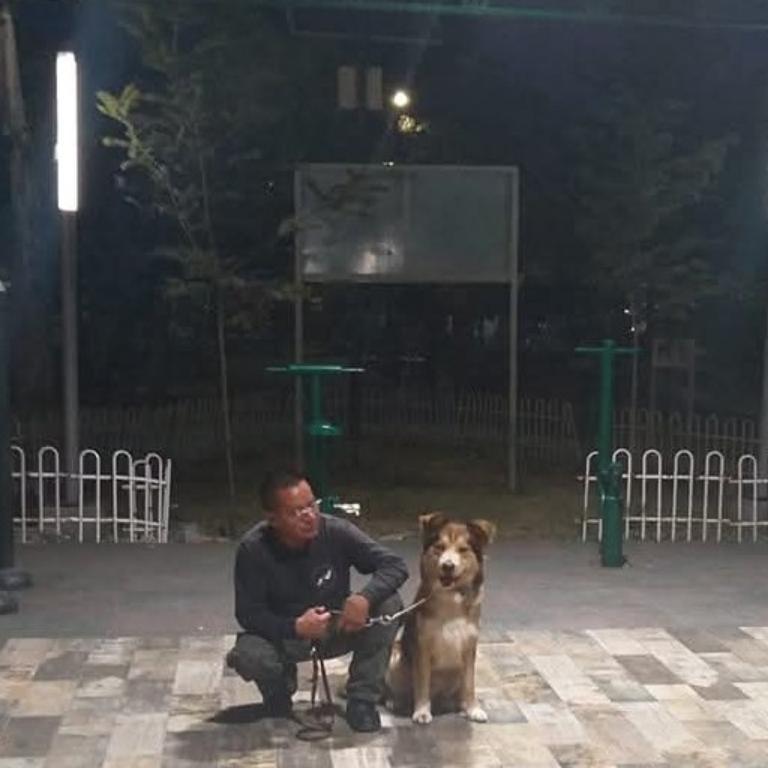 ADIESTRAMIENTO CANINO en Azcapotzalco - Imagen 3
