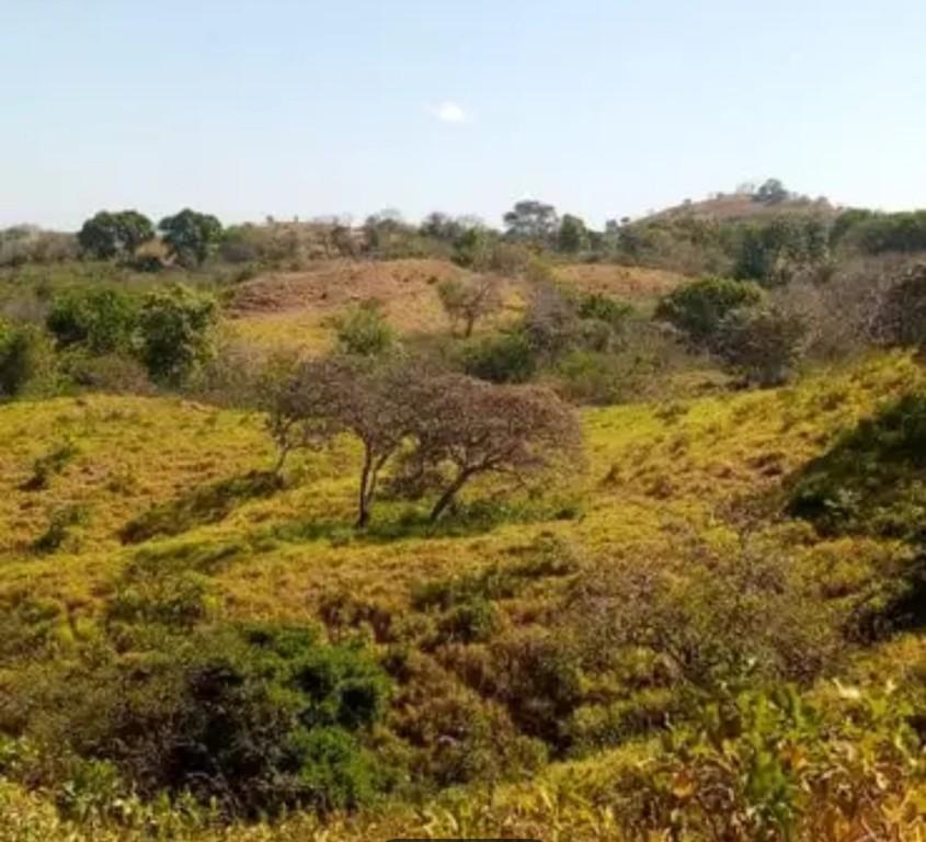 Finca Rio de Jesús 48 hectareas (Negociable) en Panamá - Imagen 2