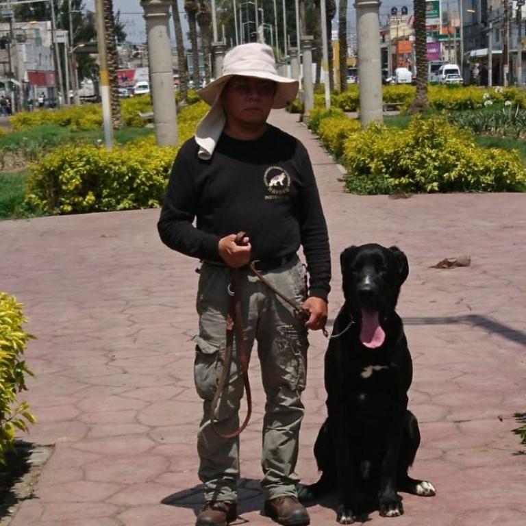 ADIESTRAMIENTO CANINO en CDMX en México - Imagen 2