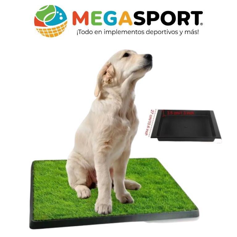PET POTTY EN PVC CON CESPED en Quito - Imagen 2