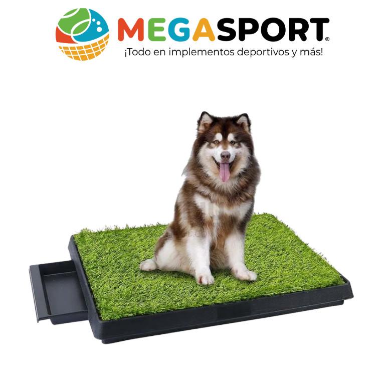 PET POTTY EN PVC CON CESPED en Quito - Imagen 3