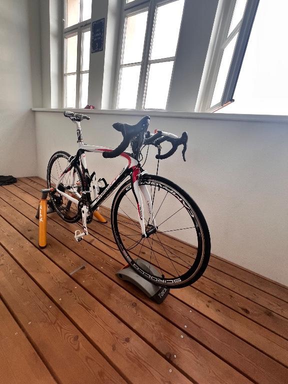 Pinarello FP3 Full Carbon Rennrad in Graz - Bild 2