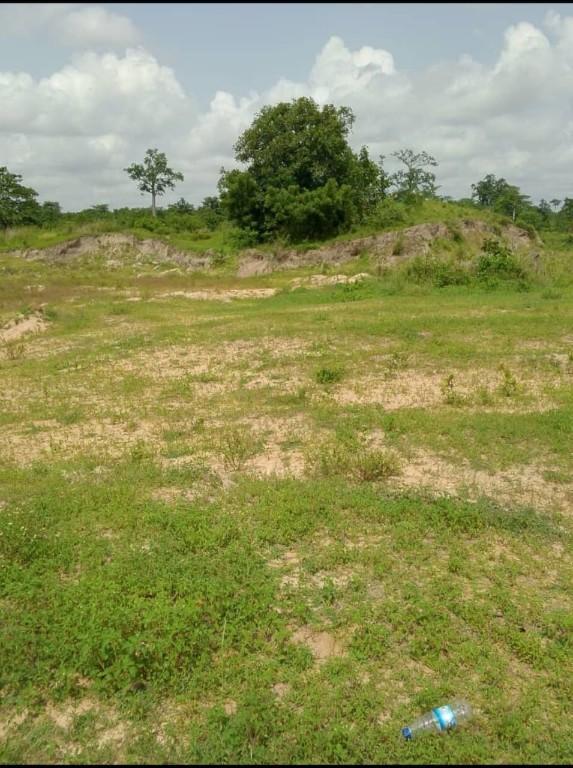 Vente de terrain en Côte d’Ivoire - Photo 2