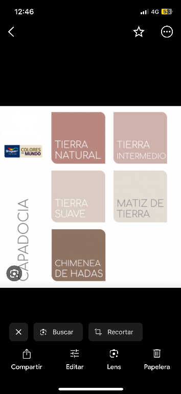 Pintor profesional en España - Imagen 3