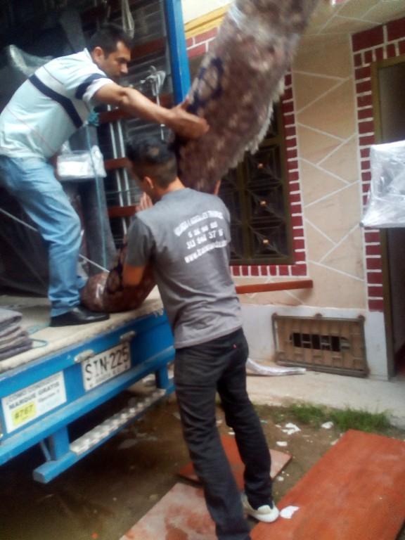 traslado de menaje de hogar nacional en Bogotá - Imagen 1