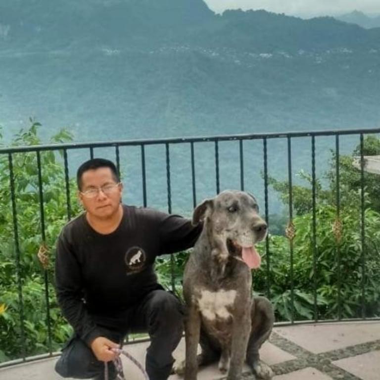 ADIESTRAMIENTO CANINO PROFESIONAL HAYAKU en Azcapotzalco - Imagen 3