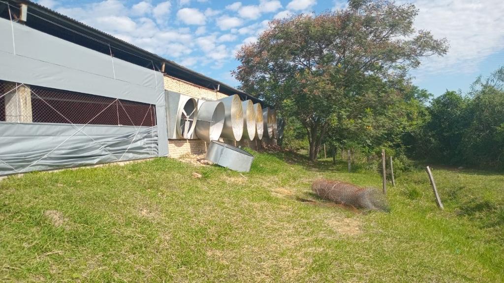 CAACUPE-PEDROZO. VENDO ESTABLECIMIENTO AVÍCOLA . en Paraguay - Imagen 5