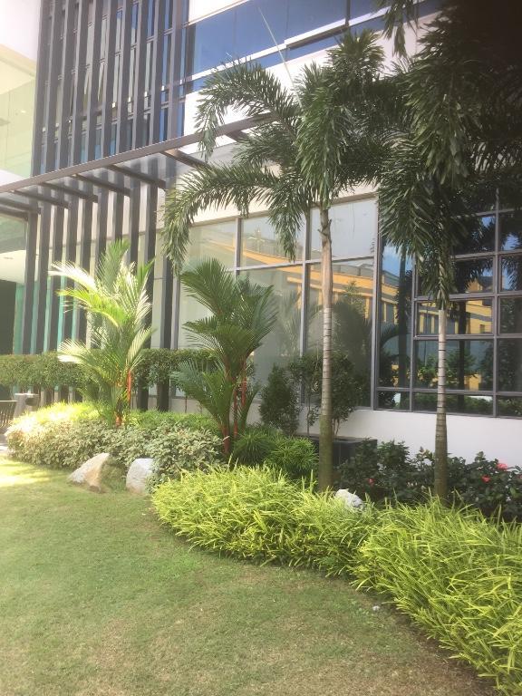 GARDEN MAINTENANCE in Tampines - Image 2