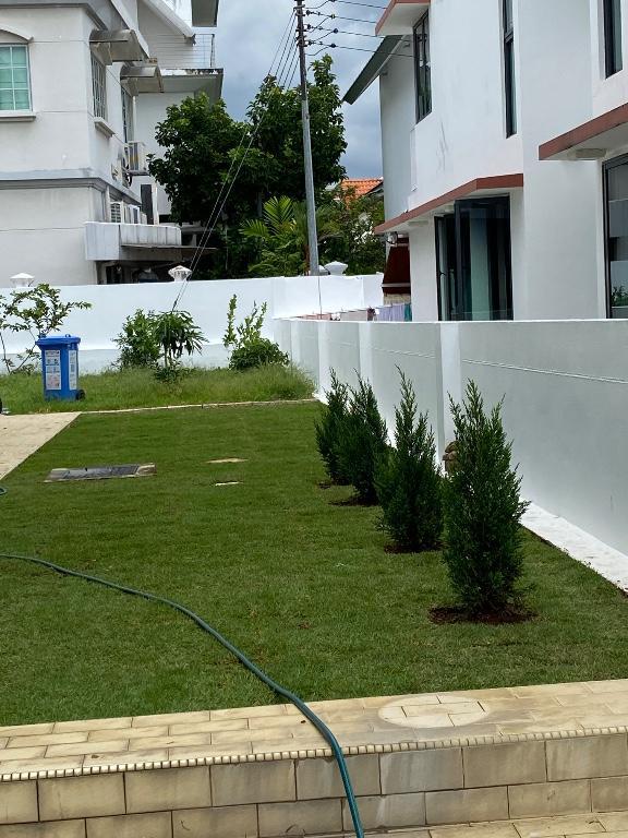 GARDEN MAINTENANCE in Tampines - Image 3