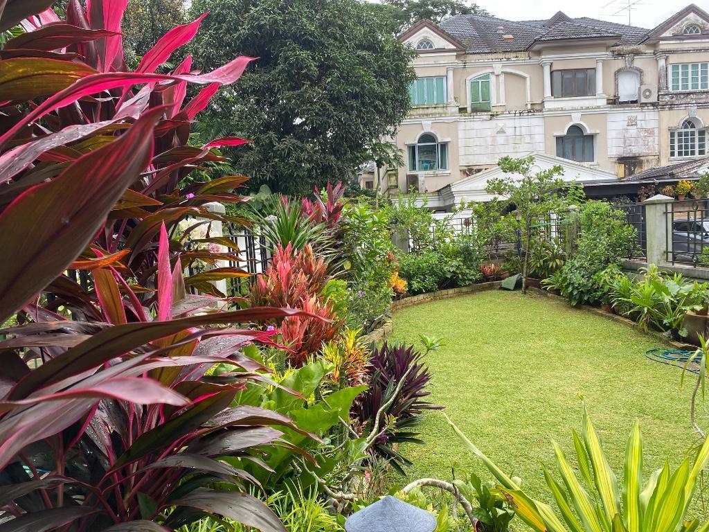 GARDEN MAINTENANCE in Tampines - Image 6