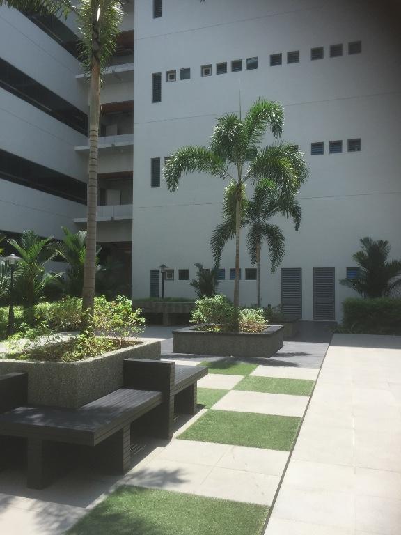 GARDEN MAINTENANCE in Tampines - Image 7