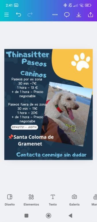 Paseo de perros en España - Imagen 1