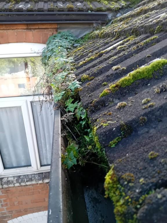 Gutter Cleaning West Midlands | Gutter Cleaning Service in Dudley - Image 1