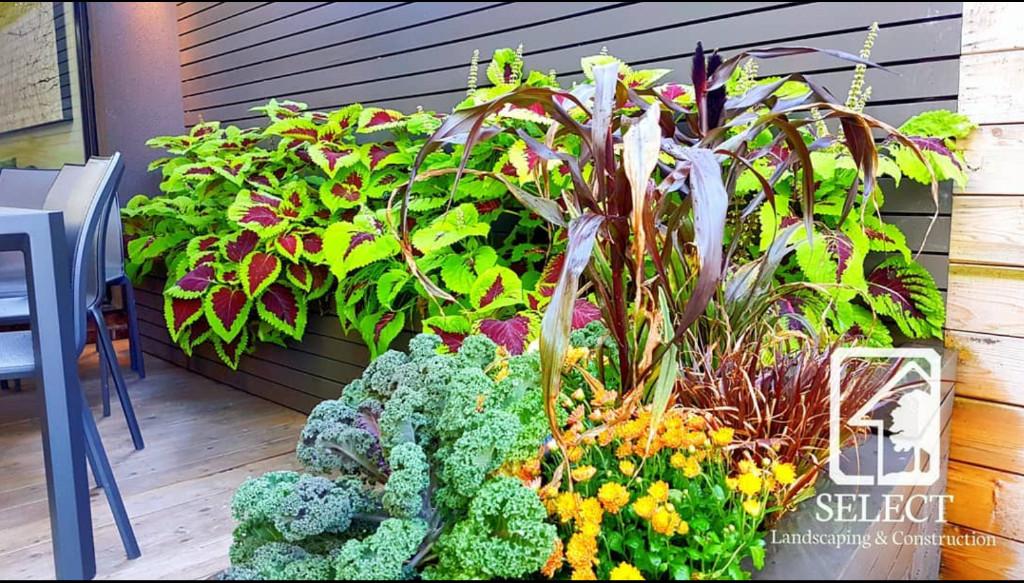 Garden Design & Planting | Select Landscaping in Toronto - Image 4