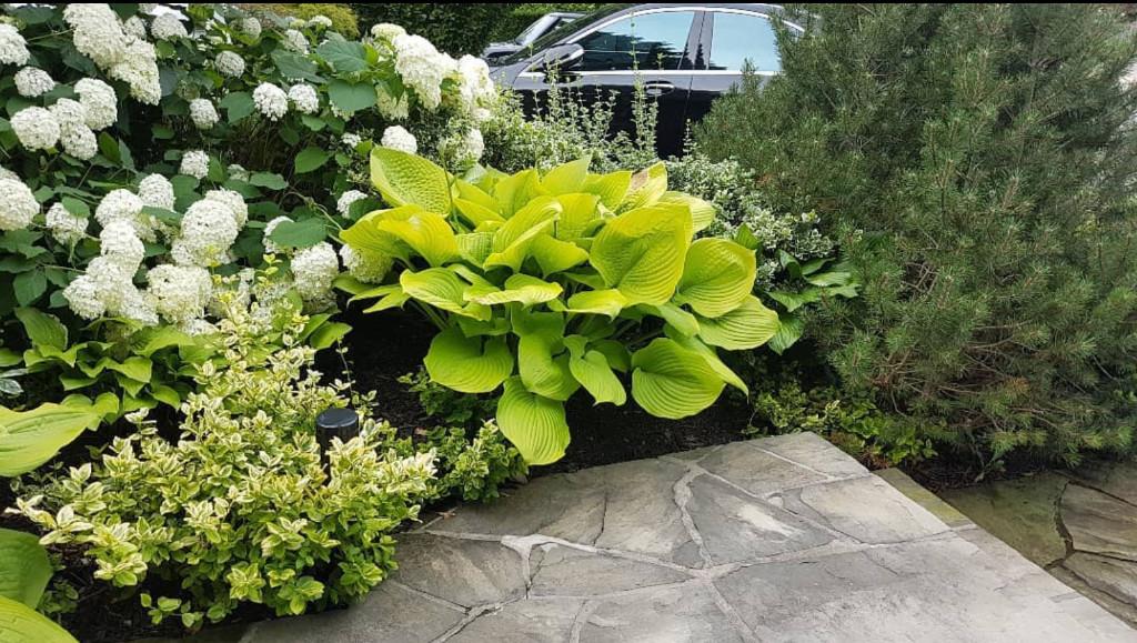 Garden Design & Planting | Select Landscaping in Toronto - Image 2