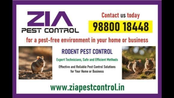 Rodent pest control near me | Bangalore pest control services | in Bangalore - Image 1