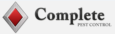 Complete Pest Control in Dublin - Image 1