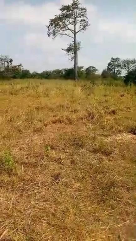 vente immobilier en Côte d’Ivoire - Photo 2