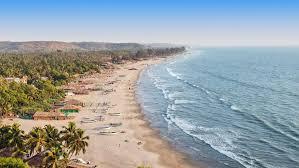 Goa Tropical Beach Escape in India - Image 2