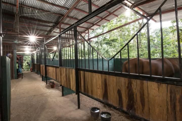 BELLÍSIMA PROPIEDAD EN COCLES, LIMÓN, COSTA RICA. en Limón - Imagen 3
