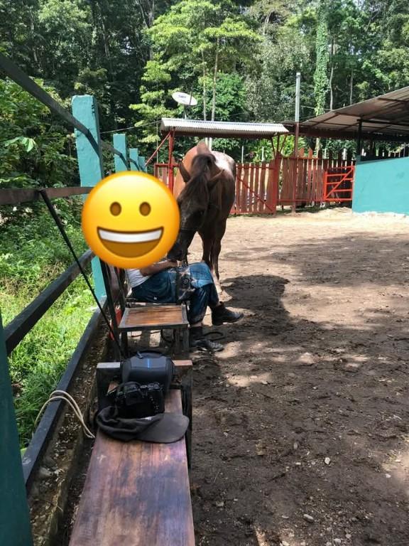BELLÍSIMA PROPIEDAD EN COCLES, LIMÓN, COSTA RICA. en Limón - Imagen 7