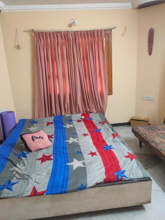 Helper/Delivery person in Surat - Image 2