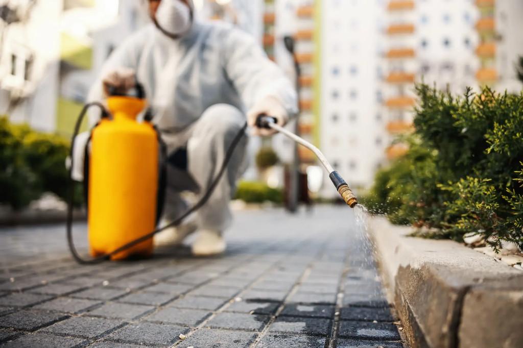 Universal Pest Control in Bhuj - Image 1