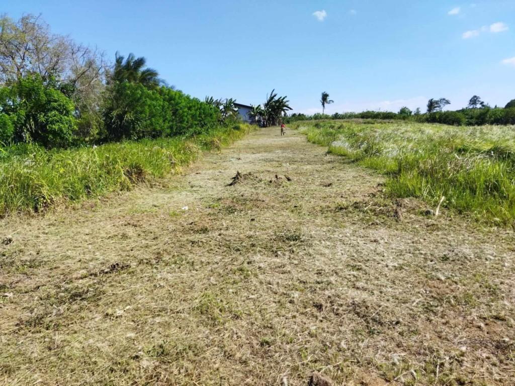 LOT AND FARM FOR SALE in Philippines - Image 4