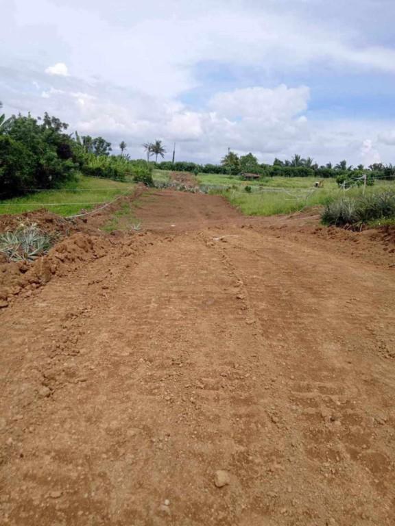 LOT AND FARM FOR SALE in Philippines - Image 6
