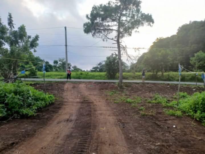 LOT AND FARM FOR SALE in Philippines - Image 10
