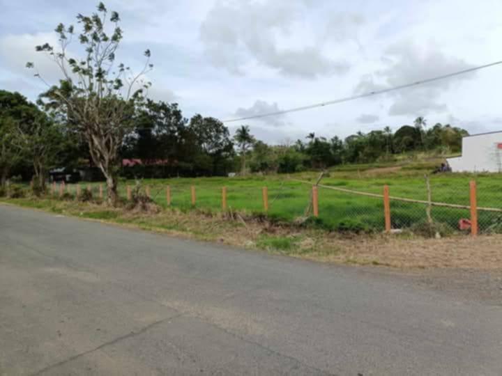 LOT AND FARM FOR SALE in Philippines - Image 12