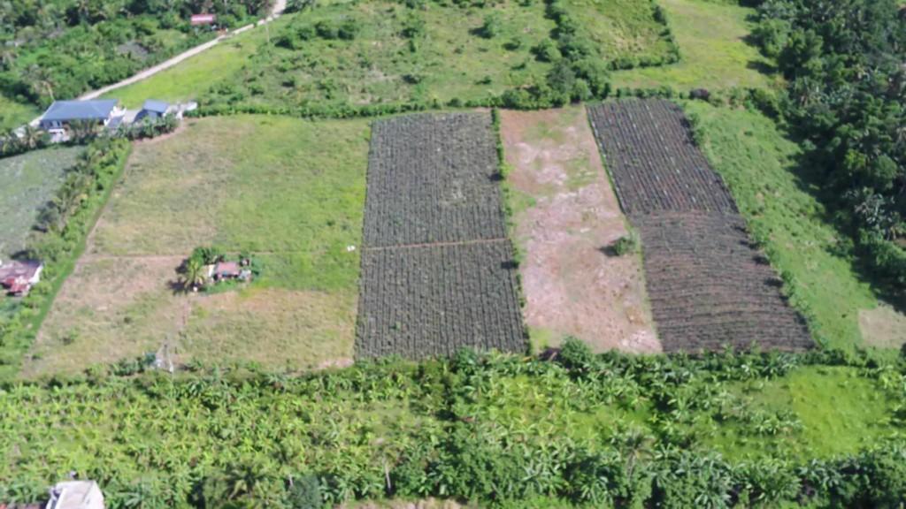 FARM AND LOT FOR SALE in General Emilio Aguinaldo - Image 9